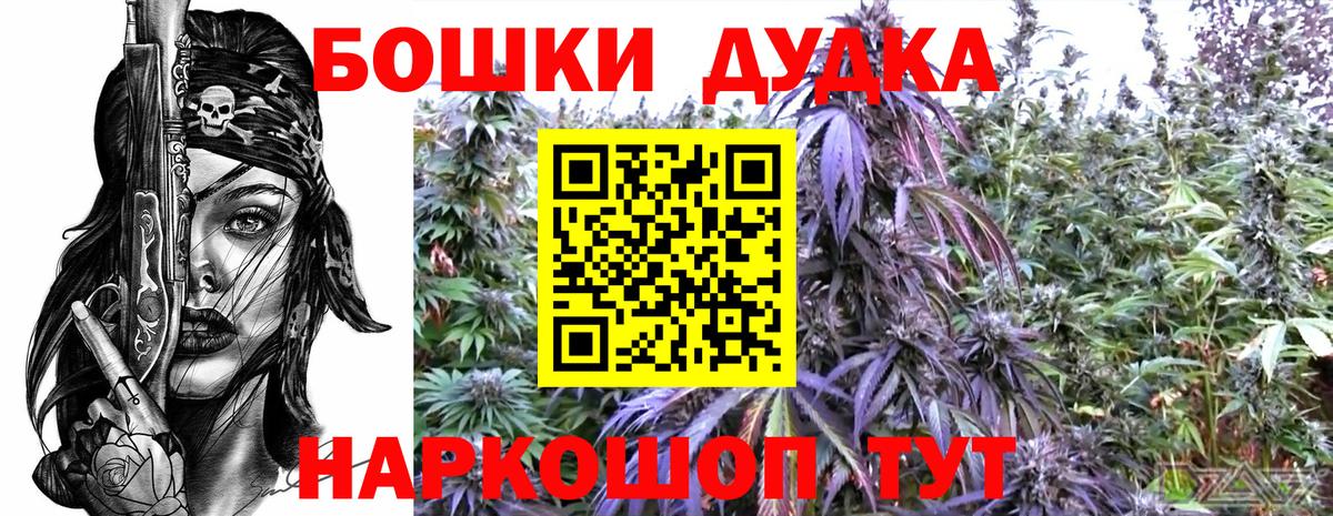 Конопля VHQ  МАРИХУАНА White Widow  Вход с VPN  Кисловодск  Бошки марихуана сатива 
