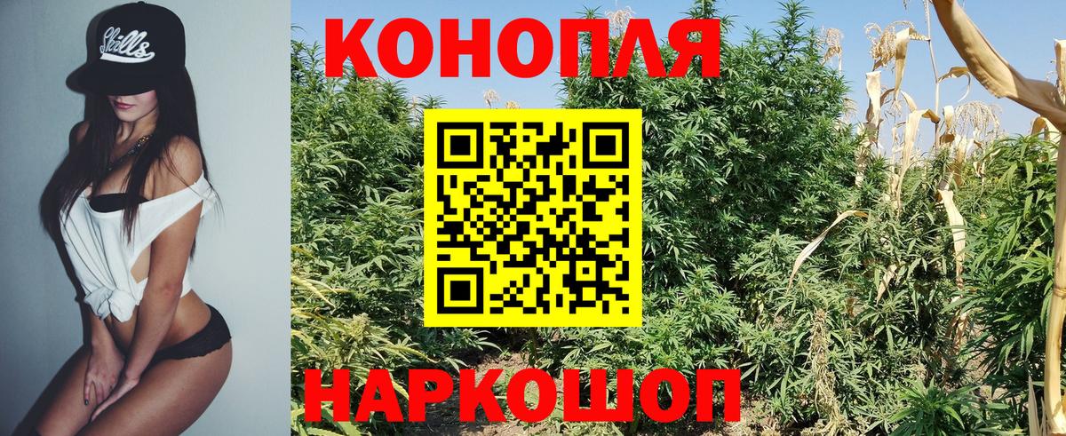Канабис ГИДРОПОН Кисловодск